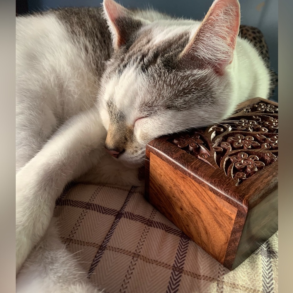 💕TRADE💕 - Picture 13 of 13